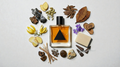 Rook Eau de Parfum 50ml bottle featuring bold smokey incense musk in an elegant design against a neutral background.